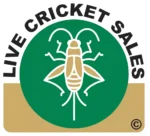 Live crickets for sale in QLD Australia - ideal feeder insects for reptiles, frogs, and birds